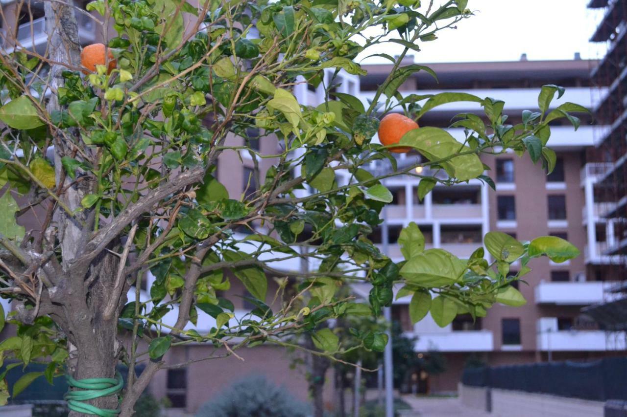 Airport & Fair Suite Apartments Fiumicino Eksteriør billede
